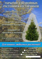 Хвойные_А4 (1)